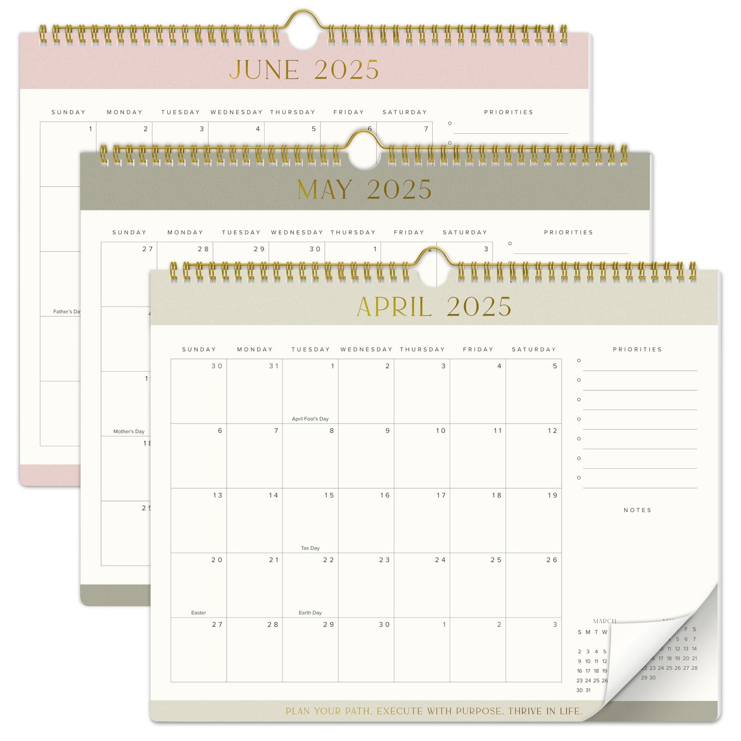 Aesthetic 2025-2026 Wall Calendar - Runs from January 2025 Until July 2026 - The Perfect Wall Hanging Calendar Planner for Easy Organizing