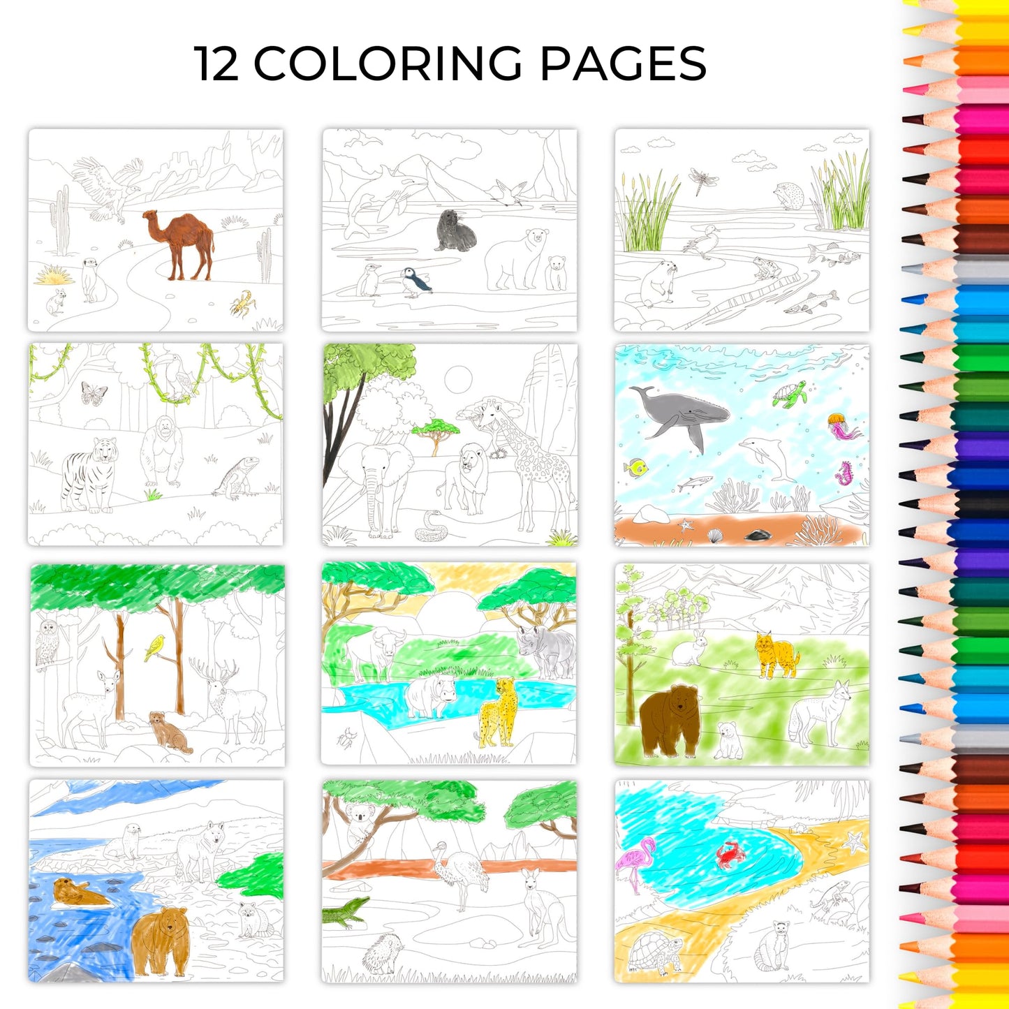 Fun Sticker Book for Toddlers 2-4 Years - Perfect Kids Activity Book with Beautiful Stickers & 12 Reusable Themes for Entertaining Girls & Boys 4-8 While Traveling - Incl. Animal and Coloring Pages