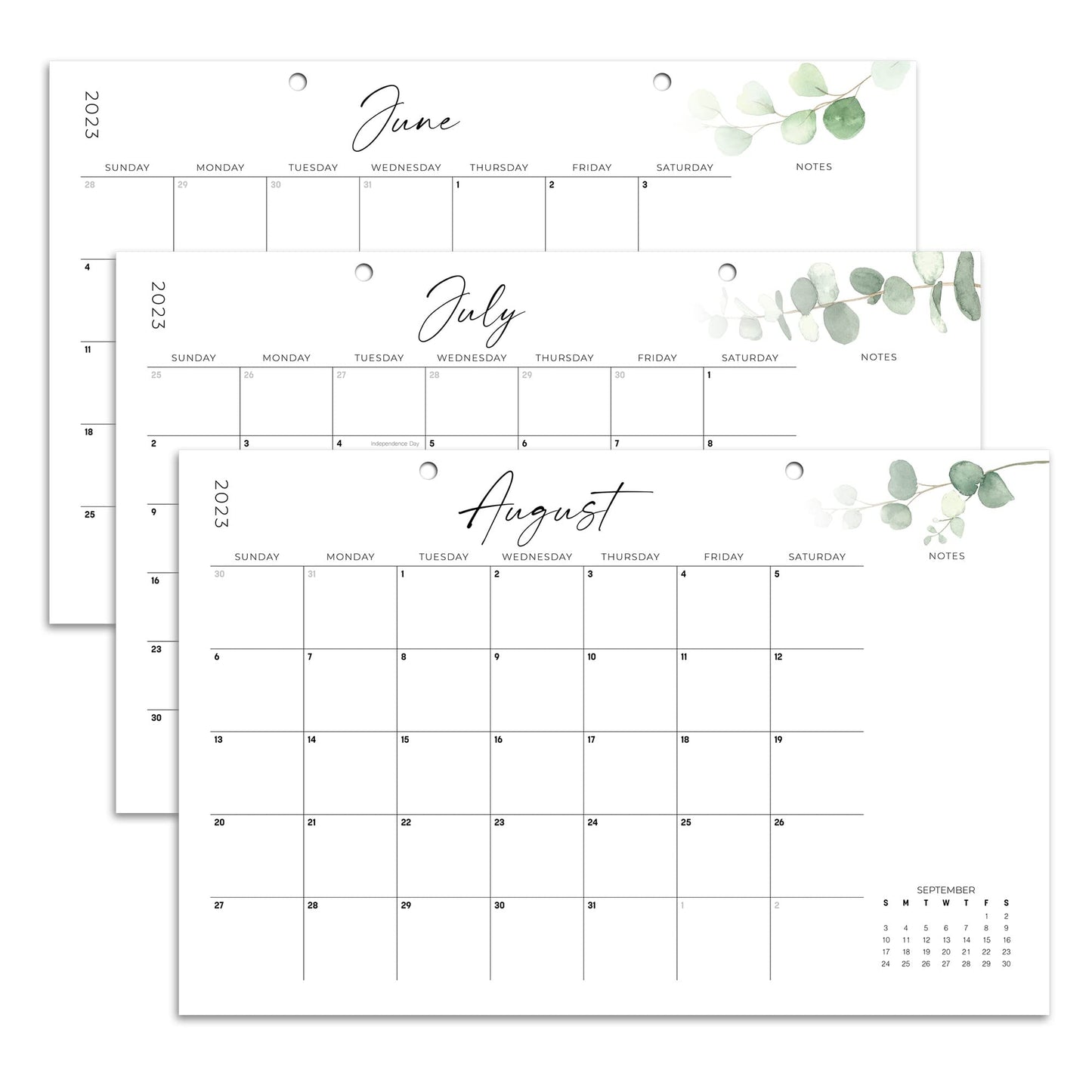 Aesthetic Modern Greenery Desk Calendar - Runs Until July 2024-17"x11" Desktop/Wall Calendar for Easy Organizing - Incl. 2023