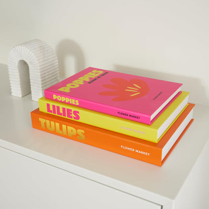 Beautiful Decorative Books Set of 3 - Preppy Room Decor Boxes Enhance Your Coffee Table, Bookshelf or Mantle Decor - Stylish Fake/Faux Books for Modern Home Decoration and Photo Storage
