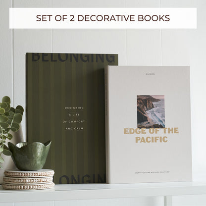 ZICOTO Beautiful Decorative Book Boxes – Set of 2 Faux Books with Lids, Paper-Covered Storage for Coffee Table, Bookshelf or Mantel – Modern Photo & Keepsake Organizer