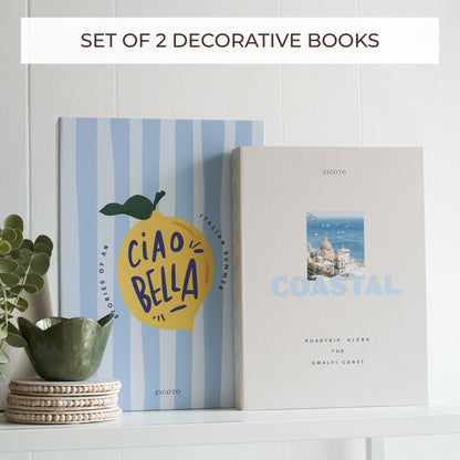 ZICOTO Beautiful Decorative Book Boxes – Set of 2 Faux Books with Lids, Paper-Covered Storage for Coffee Table, Bookshelf or Mantel – Modern Photo & Keepsake Organizer
