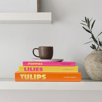 Beautiful Decorative Books Set of 3 - Preppy Room Decor Boxes Enhance Your Coffee Table, Bookshelf or Mantel Decor - Stylish Fake/Faux Books for Modern Home Decoration and Photo Storage