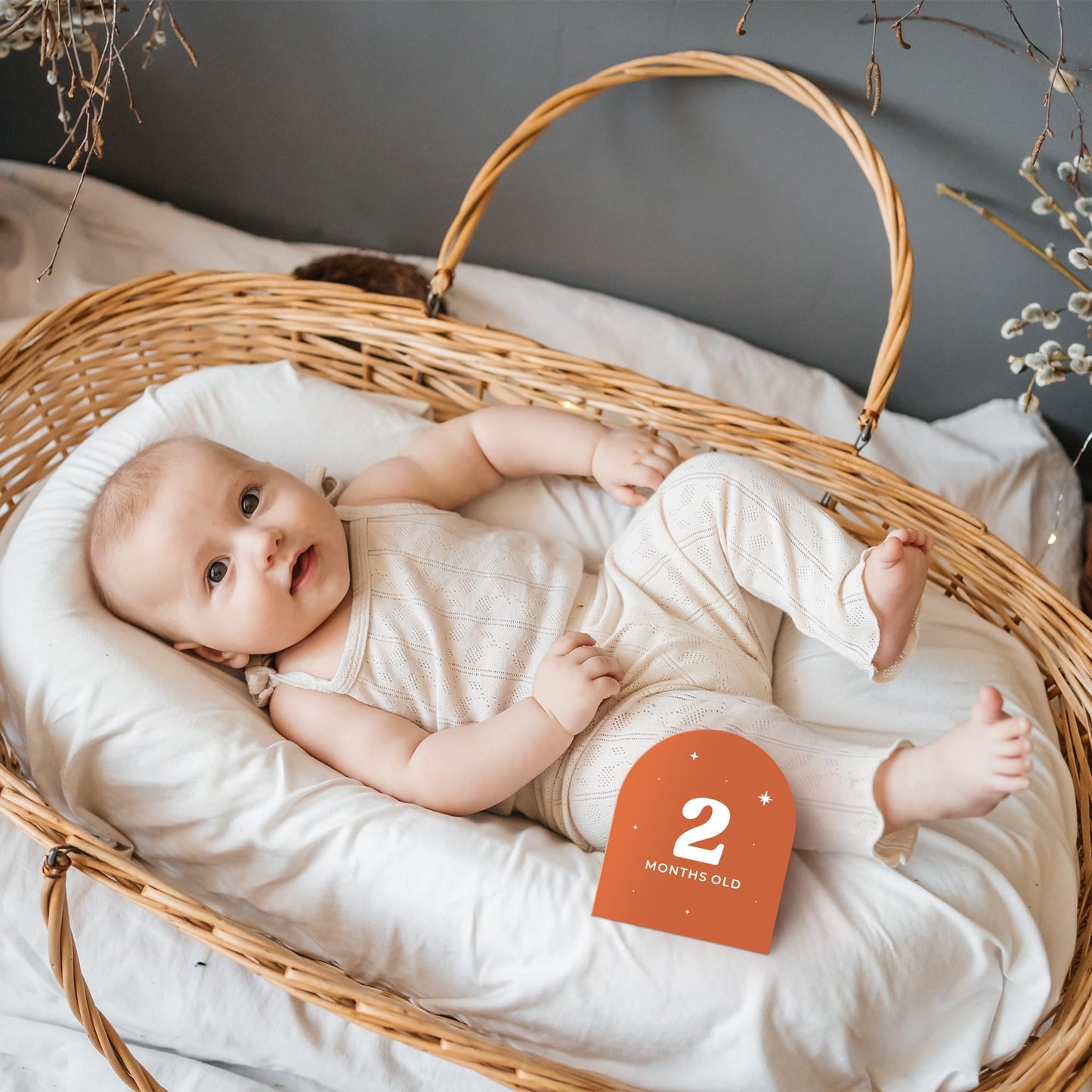 Beautiful Baby Monthly Milestone Cards - The Perfect Cards for Adorable Milestone Pictures of Your Newborn Boy/Girl - 15 Reversible Paper Set incl. Welcome Home & Hello World Sign are A Great Gift