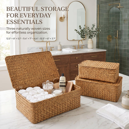 Decorative Wicker Storage Boxes with Lids - Set of 3 Seagrass Organizers