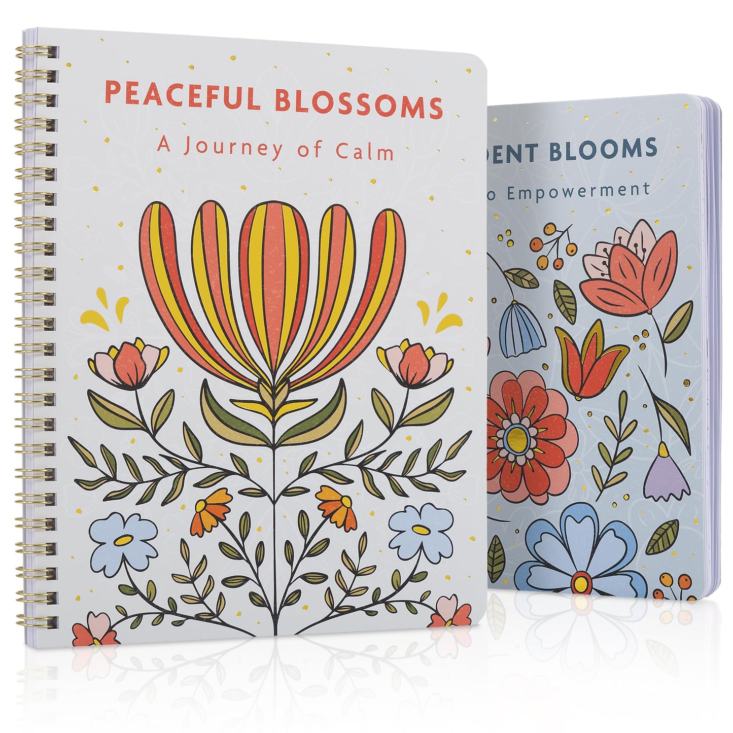 Beautiful Adult Coloring Book Set of 2 for Relaxation - Affirmation and Inspirational Books Making it a Great Gift - Perfect Stress-Relieving Books Fun to Color for Women