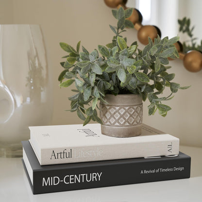 Aesthetic Decorative Books - Set of 2 Stylish Boxes Enhance Your Coffee Table, Bookshelf or Mantel Decor - Beautiful Fake/Faux Books for Modern Home Decoration, Photo Storage and as a Keepsake Box