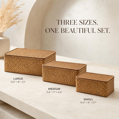 Decorative Wicker Storage Boxes with Lids - Set of 3 Seagrass Organizers